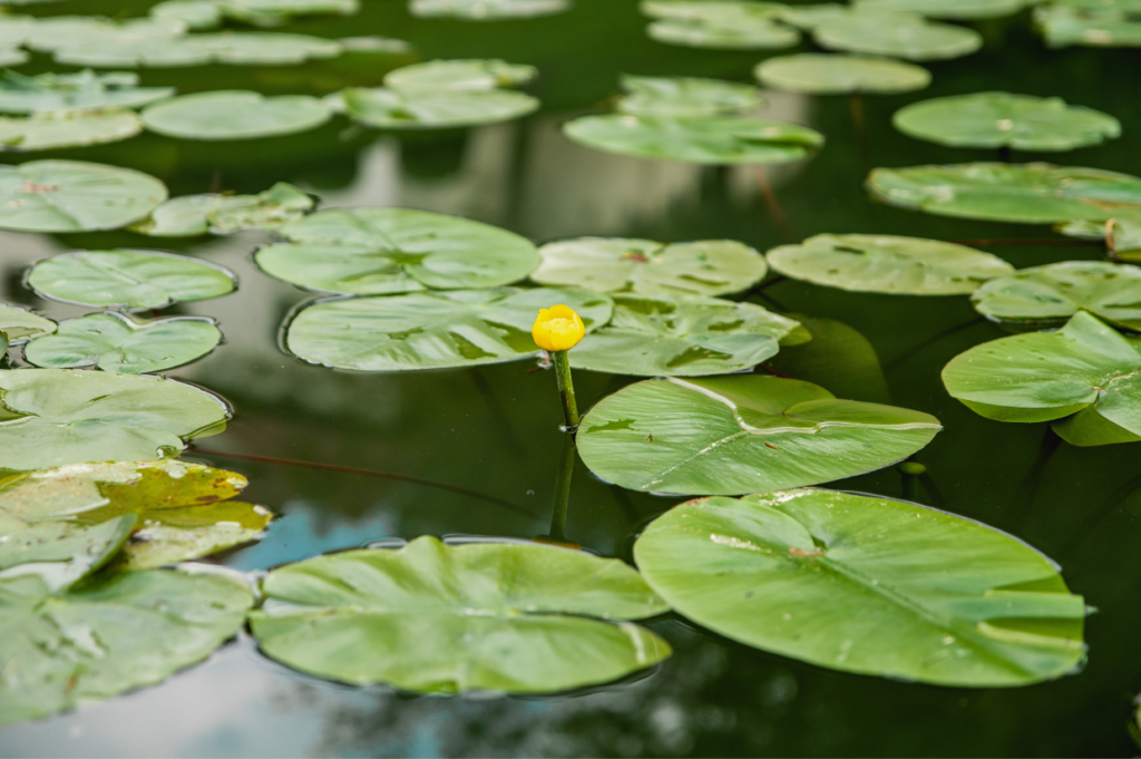 NARAVOSLOVNE DELAVNICE - Brdo.si