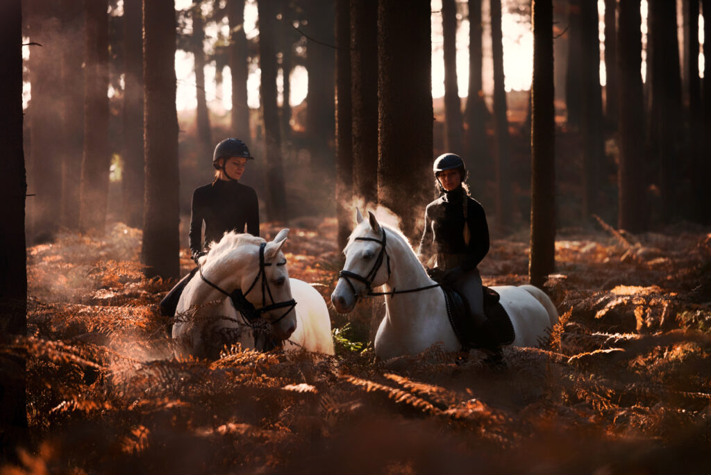 FOTOGRAFIRANJE <br>Z LIPICANCEM - Brdo.si