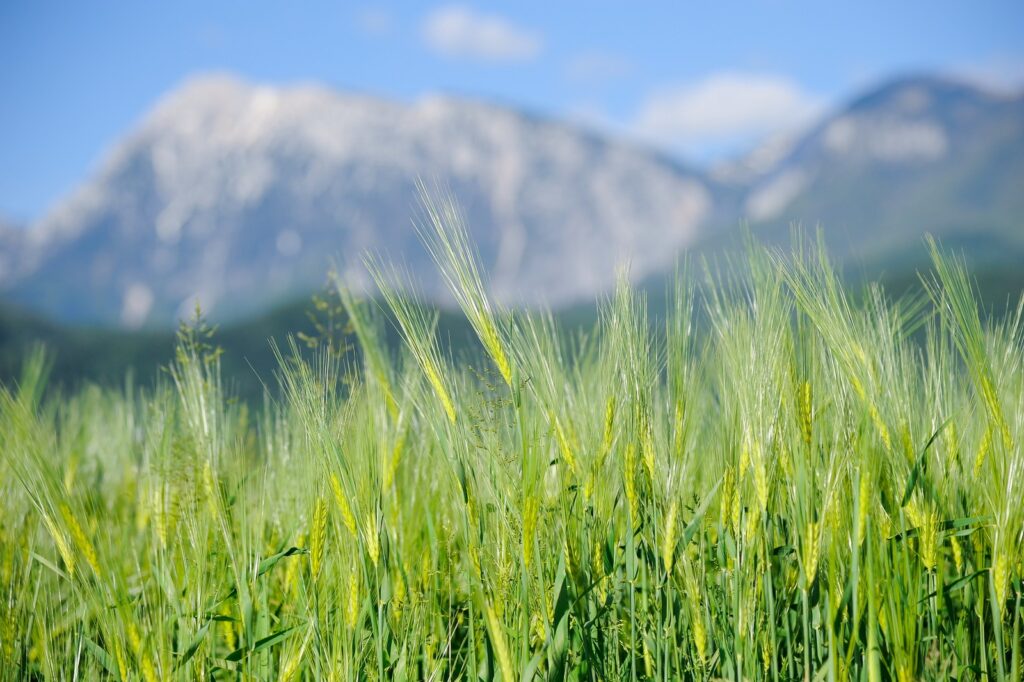 NARAVOSLOVNE DELAVNICE - Brdo.si